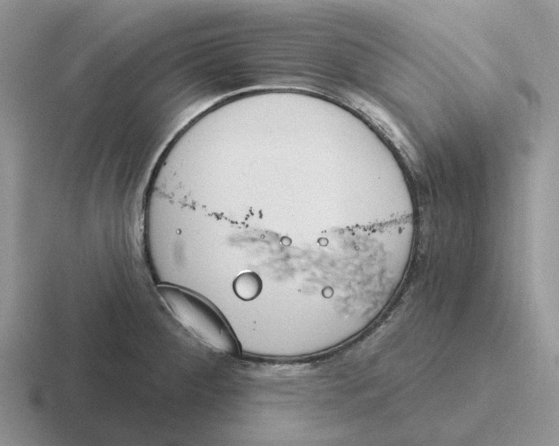 X0000116651284201001041043