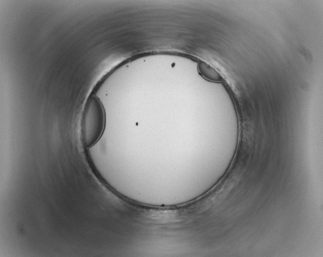 X0000116651285201001041043