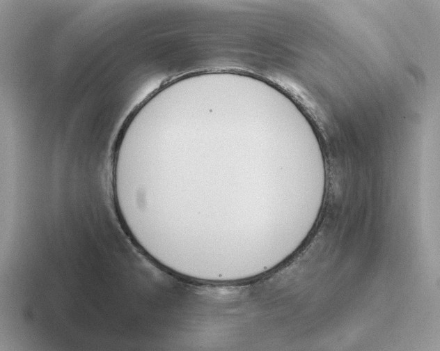 X0000116651286201001041043