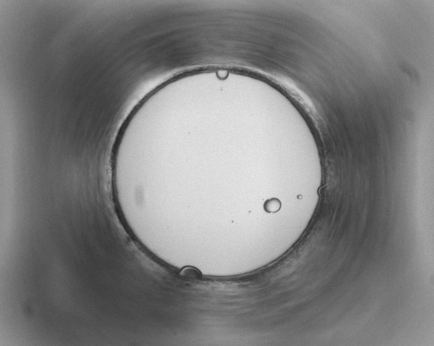 X0000116651287201001041043