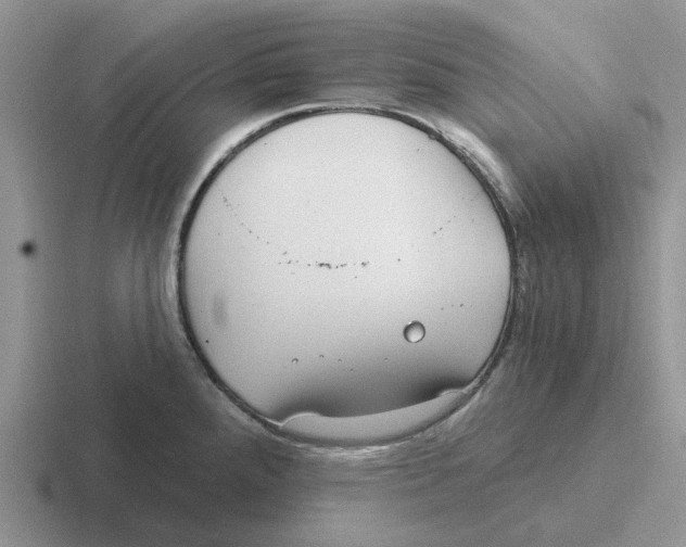 X0000116651288201001041043