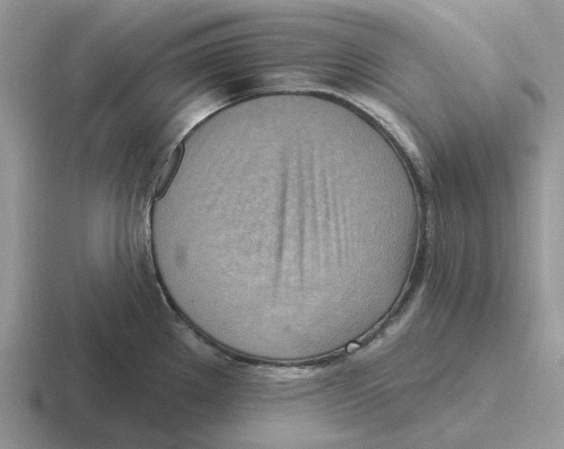 X0000116651289201001041043