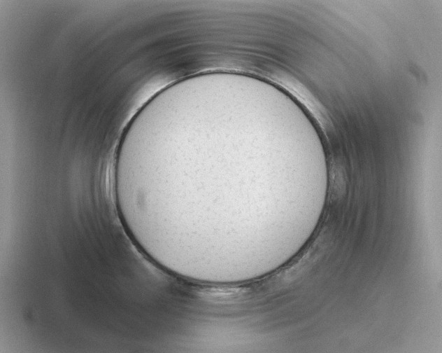 X0000116651290201001041043