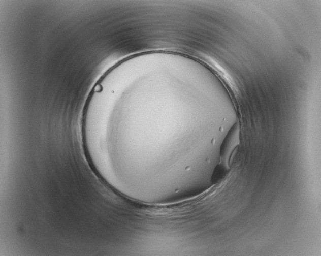 X0000116651291201001041043