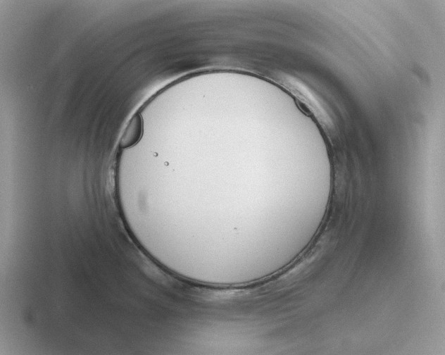 X0000116651292201001041043