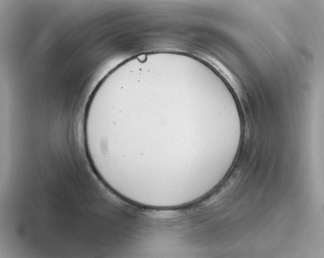 X0000116651293201001041043