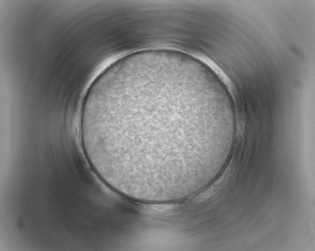 X0000116651294201001041043