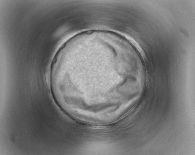 X0000116651295201001041043