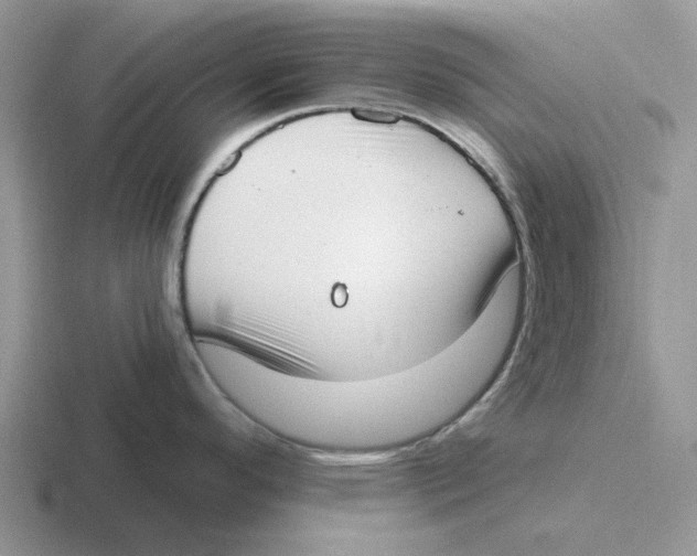 X0000116651296201001041043