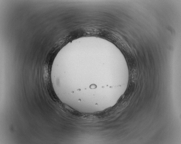 X0000116651298201001041042