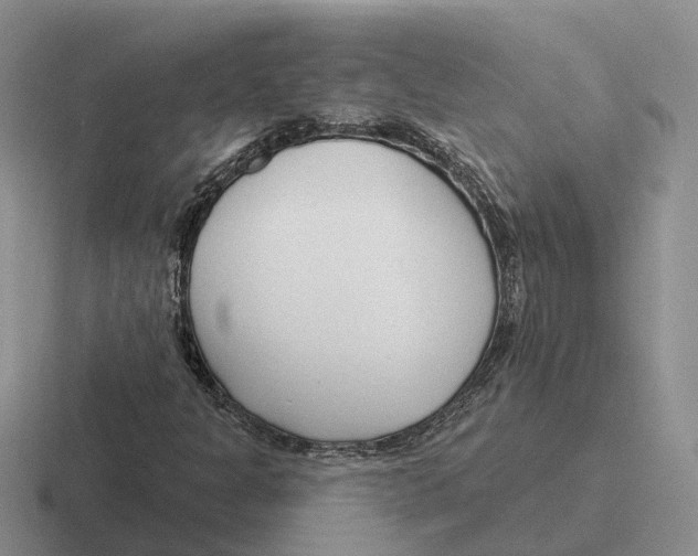 X0000116651301201001041042