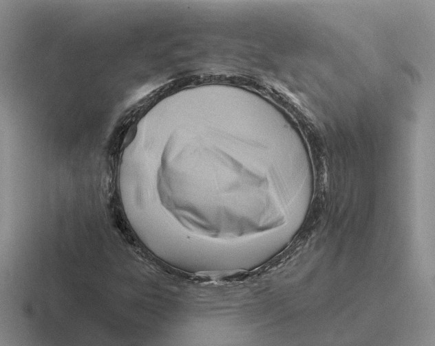 X0000116651303201001041042