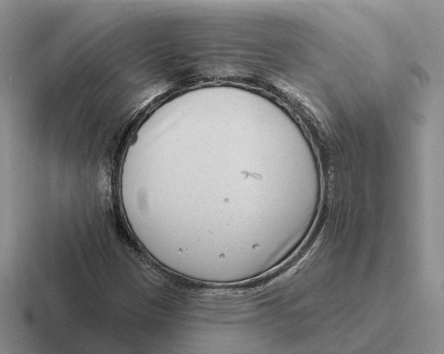 X0000116651305201001041042