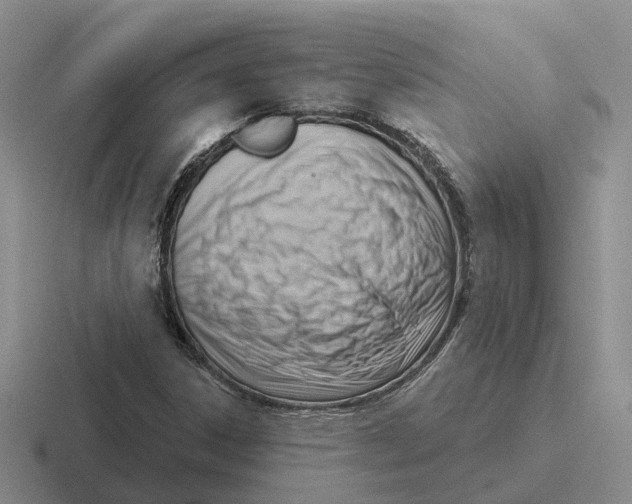 X0000116651306201001041042