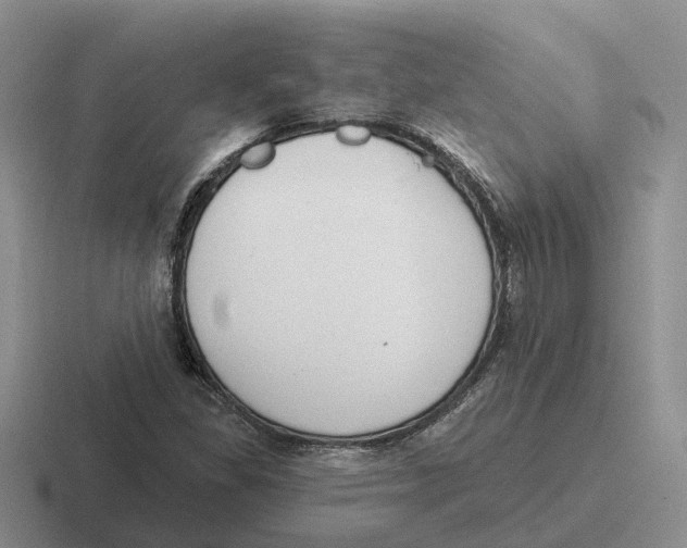 X0000116651309201001041042