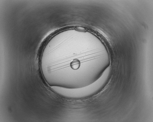 X0000116651310201001041042