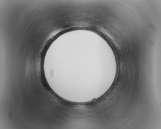 X0000116651315201001041042