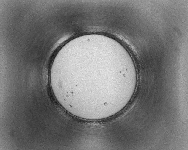 X0000116651317201001041042