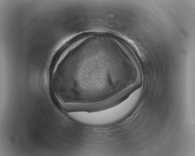 X0000116651319201001041042