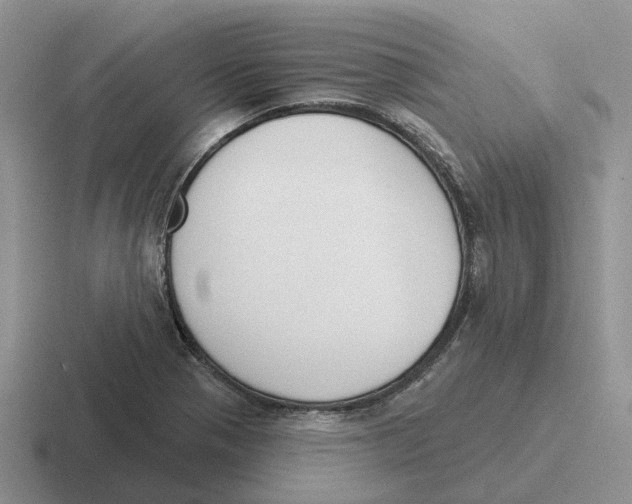 X0000116651321201001041043