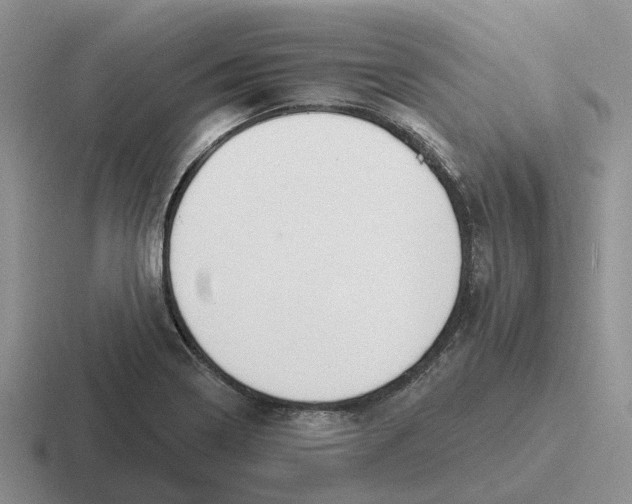 X0000116651322201001041043