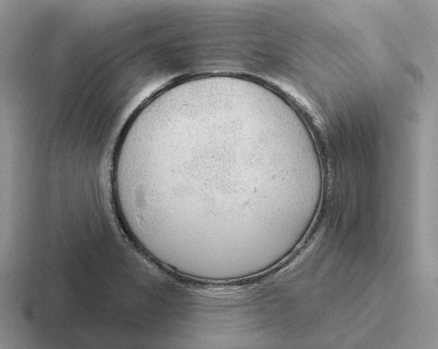 X0000116651325201001041043