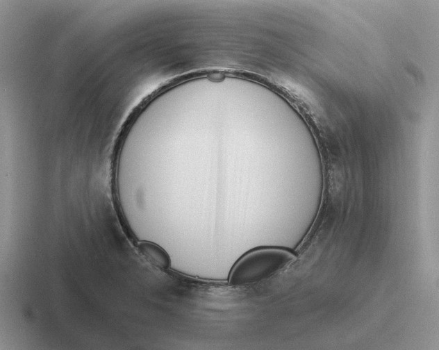 X0000116651326201001041043