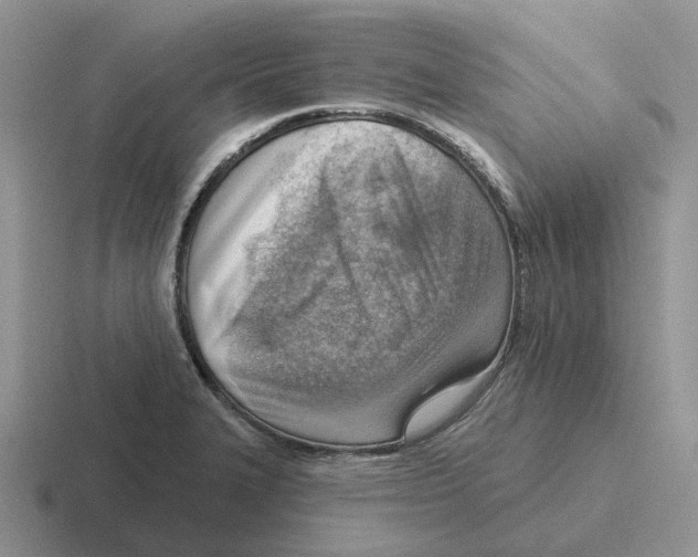 X0000116651327201001041043