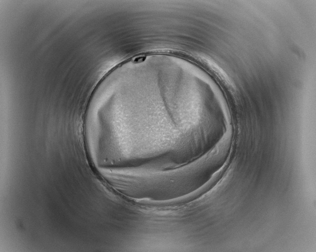 X0000116651329201001041043