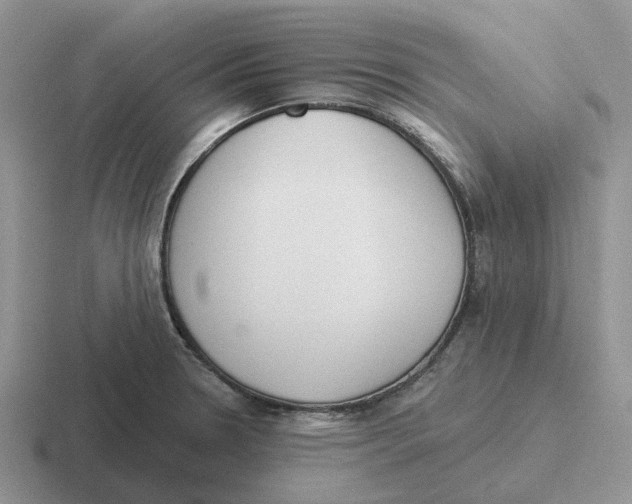 X0000116651330201001041043