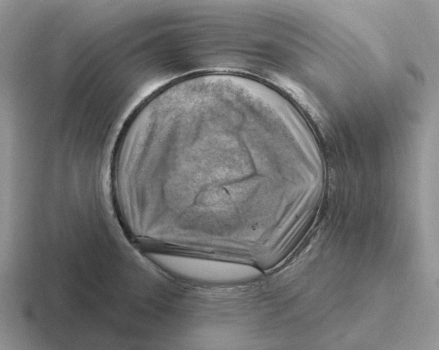 X0000116651331201001041043