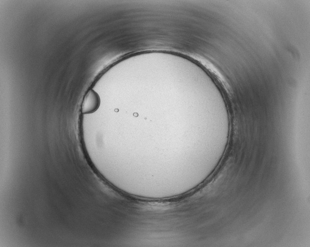 X0000116651333201001041043