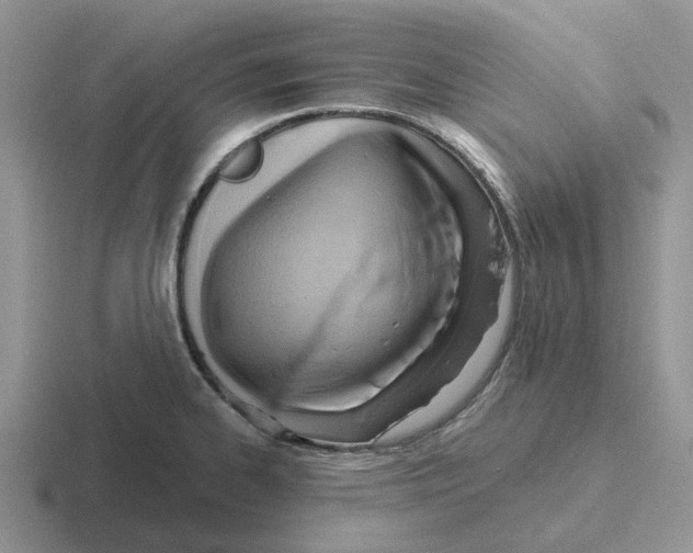 X0000116651334201001041043