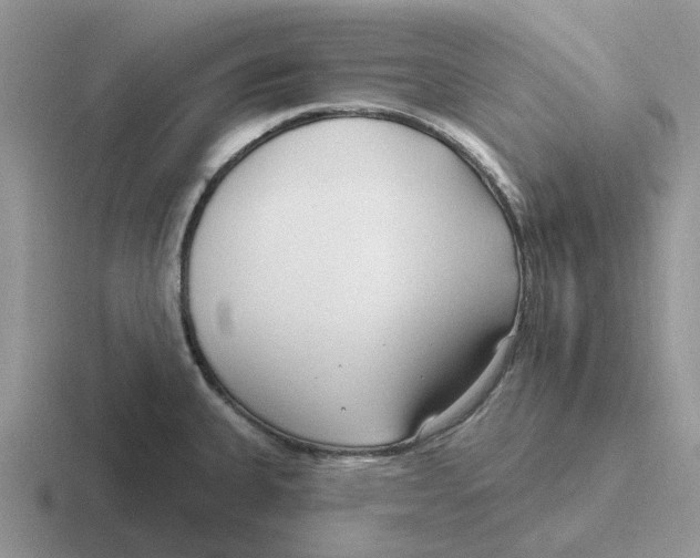 X0000116651335201001041043