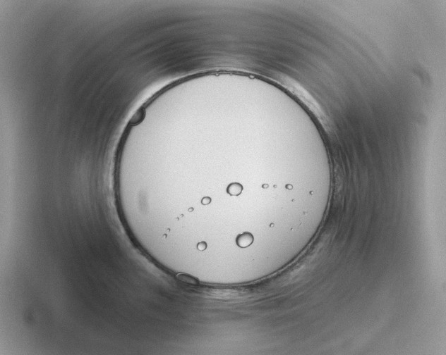 X0000116651339201001041043