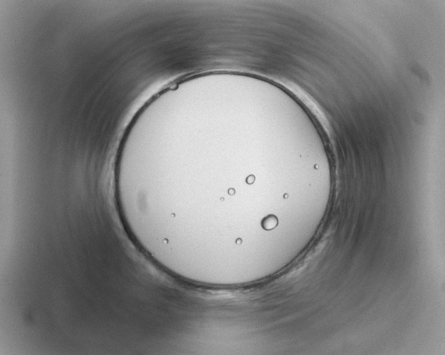 X0000116651341201001041043