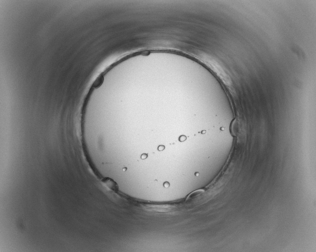 X0000116651342201001041043