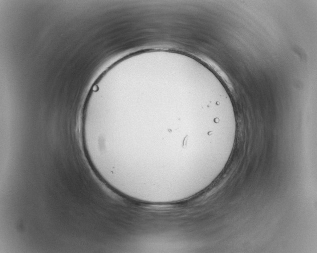 X0000116651343201001041043