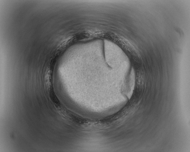 X0000116651346201001041042