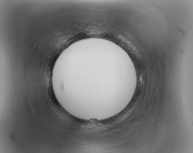 X0000116651348201001041042