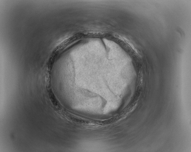 X0000116651350201001041042