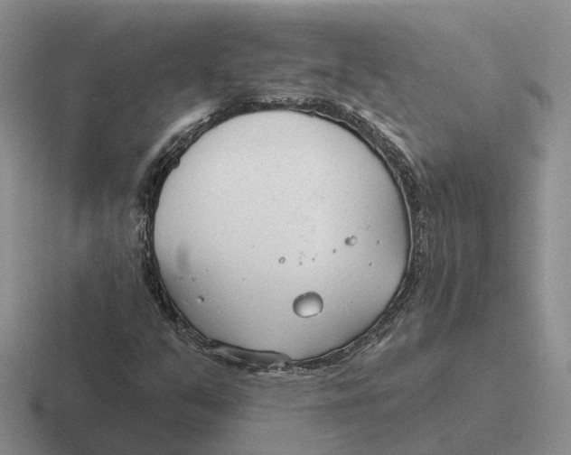 X0000116651351201001041042