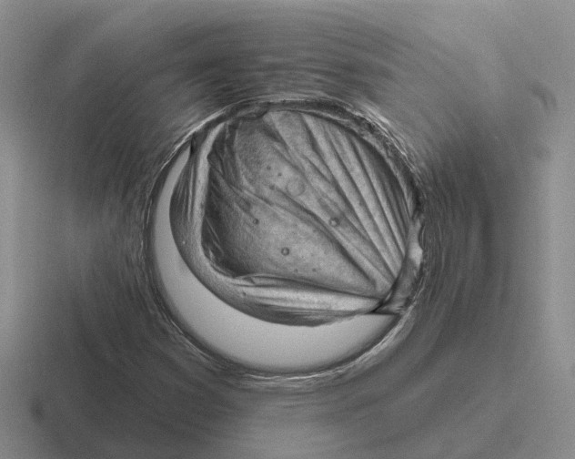 X0000116651353201001041042