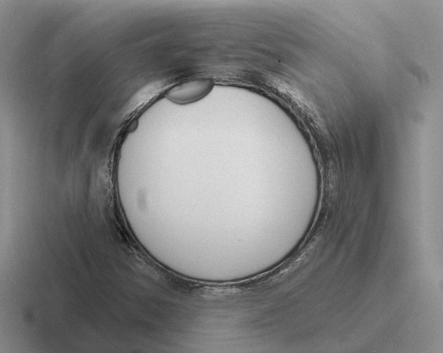 X0000116651354201001041042