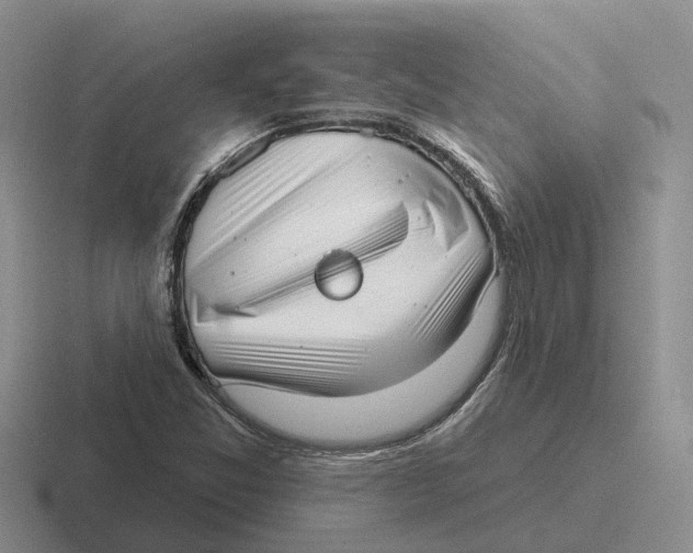 X0000116651357201001041042