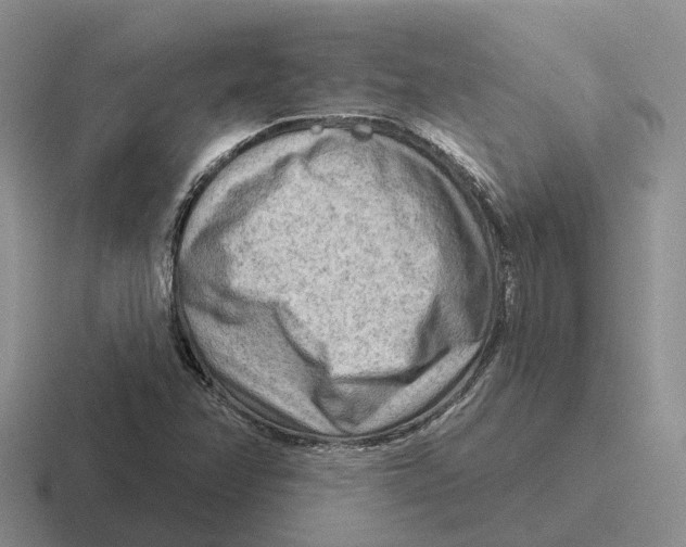 X0000116651358201001041042