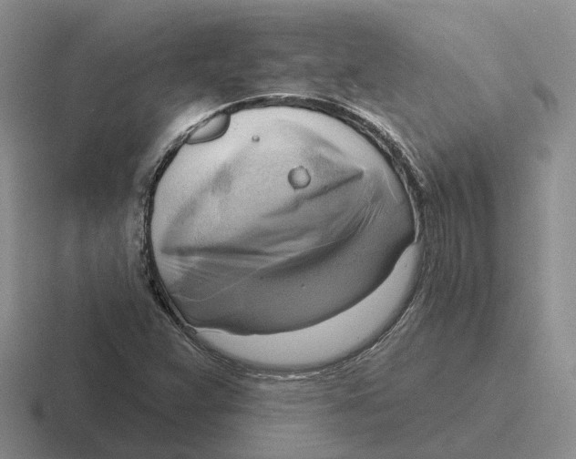 X0000116651359201001041042