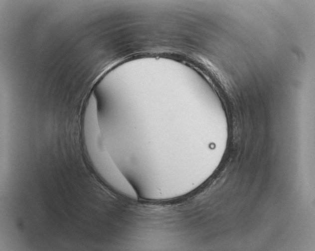 X0000116651361201001041042