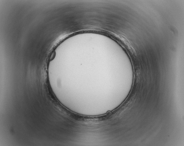 X0000116651363201001041042