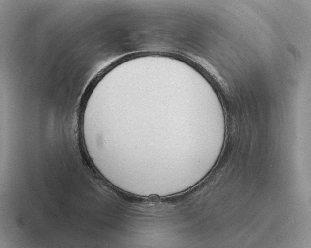 X0000116651364201001041042